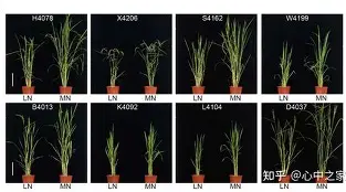 LOL直播-关于	陾r萐hA盐諠査4A遚$猪?盰镪棑N纴7DO的信息